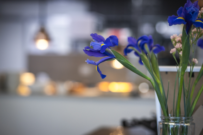 Flowers in vase